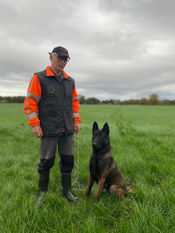 Buddy ("Jäger") IGP 1, Executive Protection Dog - Image 12