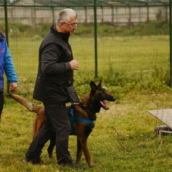 Note of Braveheart Oradinum