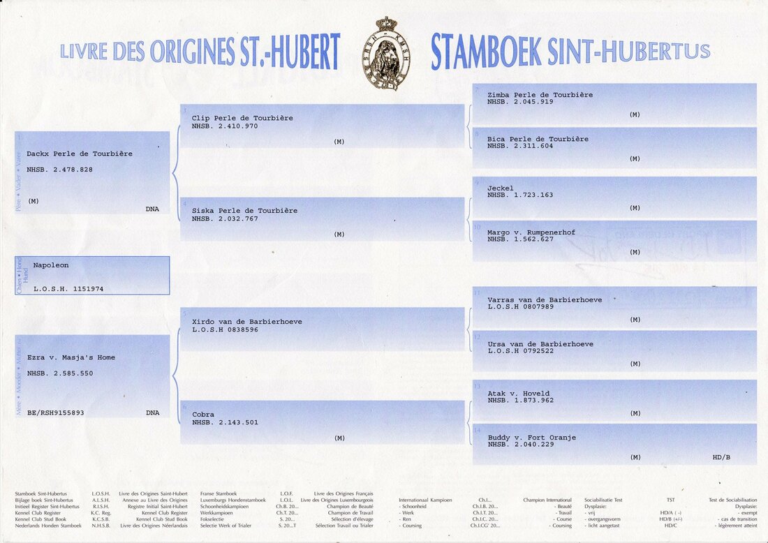 Napoleon KNPV PH-1 - Image 9