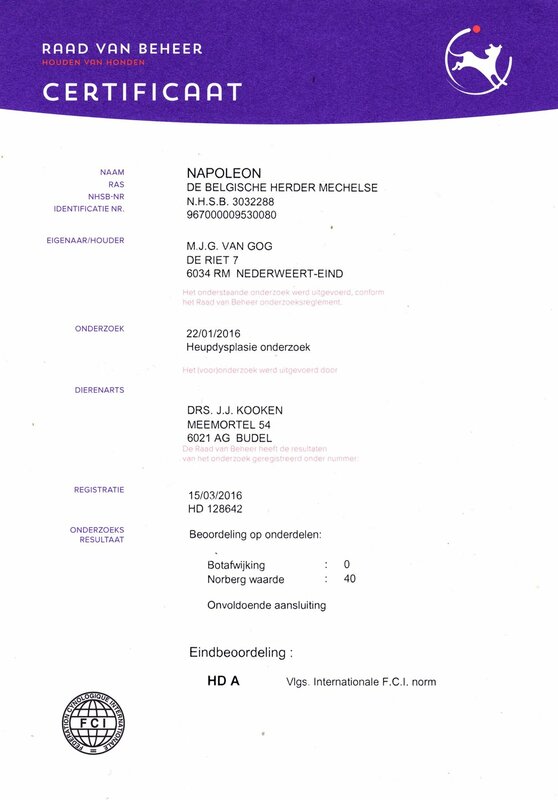 Napoleon KNPV PH-1 - Image 10