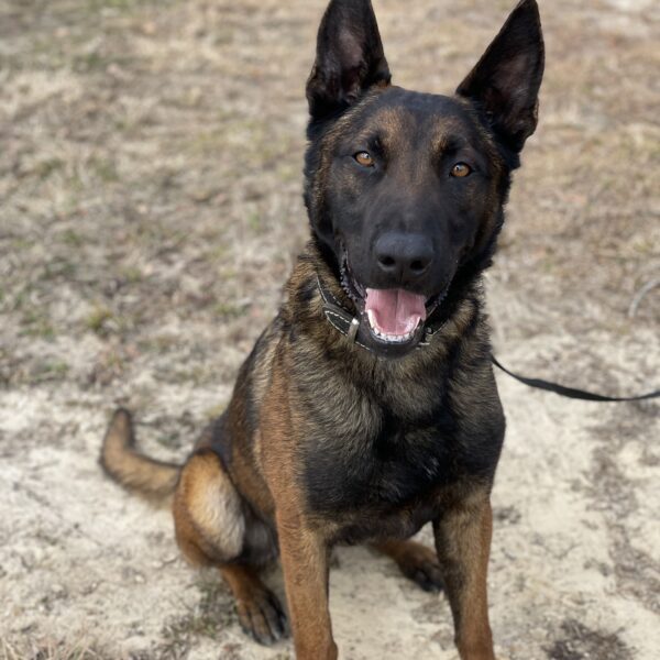 Whiskey Von Derqueencalibras House