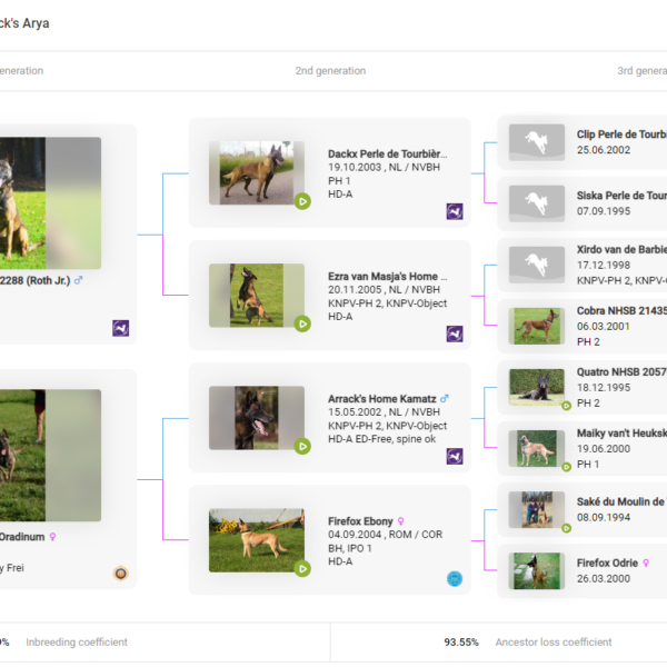 Blackjack's Arya - Pedigree
