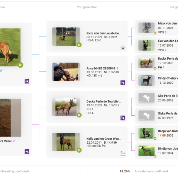 Blackjack's Yuma Pedigree