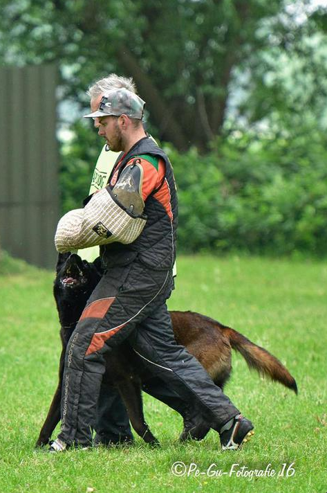 Halden NPA Detection Dog