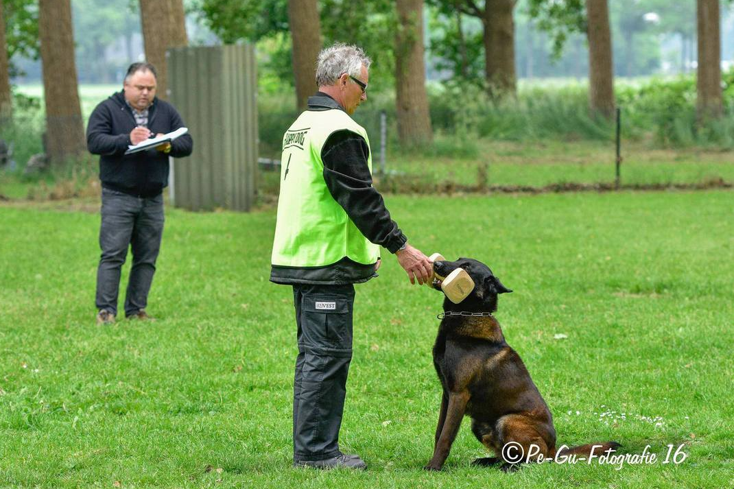 Halden NPA Detection Dog