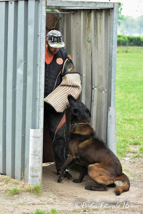 Halden NPA Detection Dog