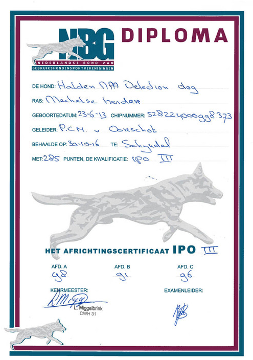 Halden NPA Detection Dog