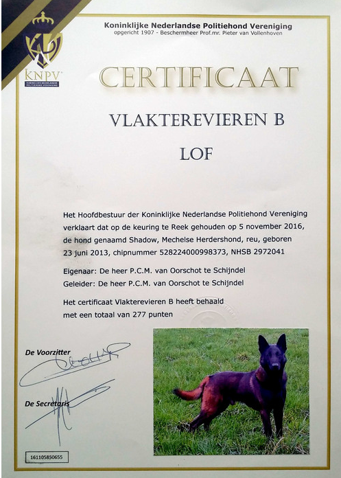 Halden NPA Detection Dog