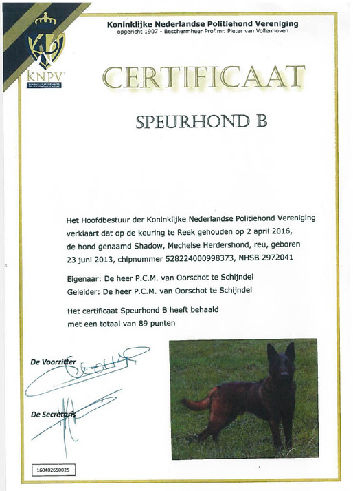 Halden NPA Detection Dog