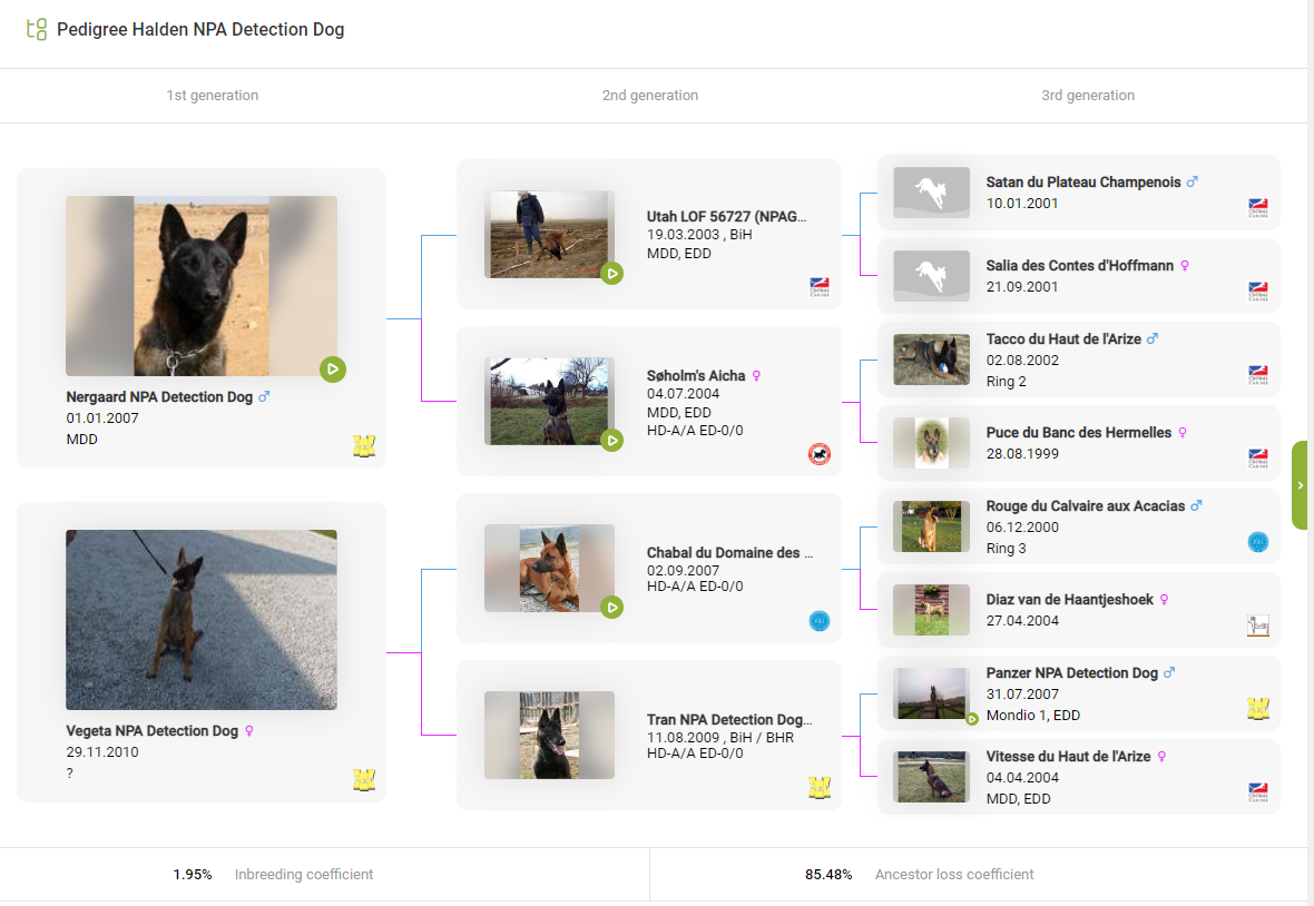 Halden NPA Detection Dog