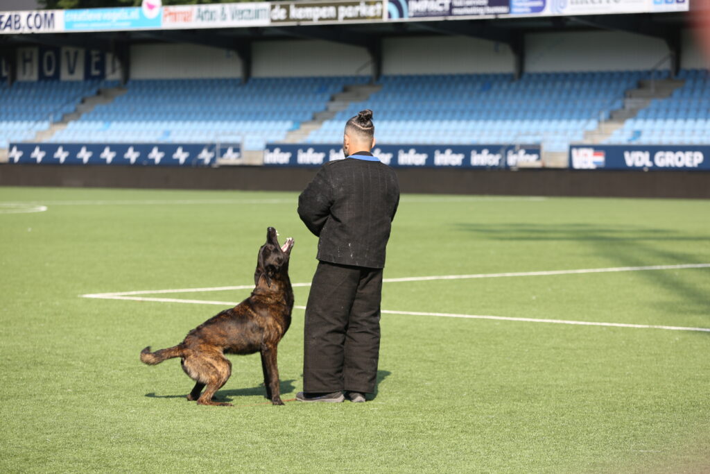 2021 KNPV National Championship in the Netherlands