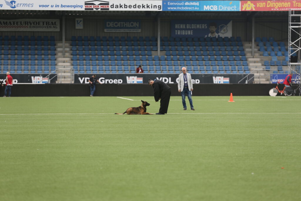 2021 KNPV National Championship in the Netherlands